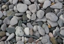 Ile wytrzyma gont na dachu?