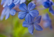 Co na stół żeby się nie Rysował?