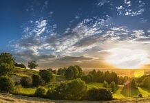 Co daje dystans MDF?