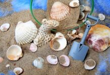 Ile piachu na 25 kg cementu?