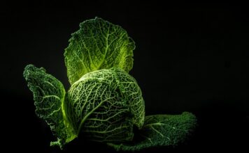 Ile soli na kilogram kapusty do kiszenia?