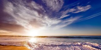 Ile kosztuje 1 tona piasku?